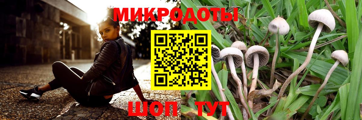 Галлюциногенные грибы мухоморы Шелехов